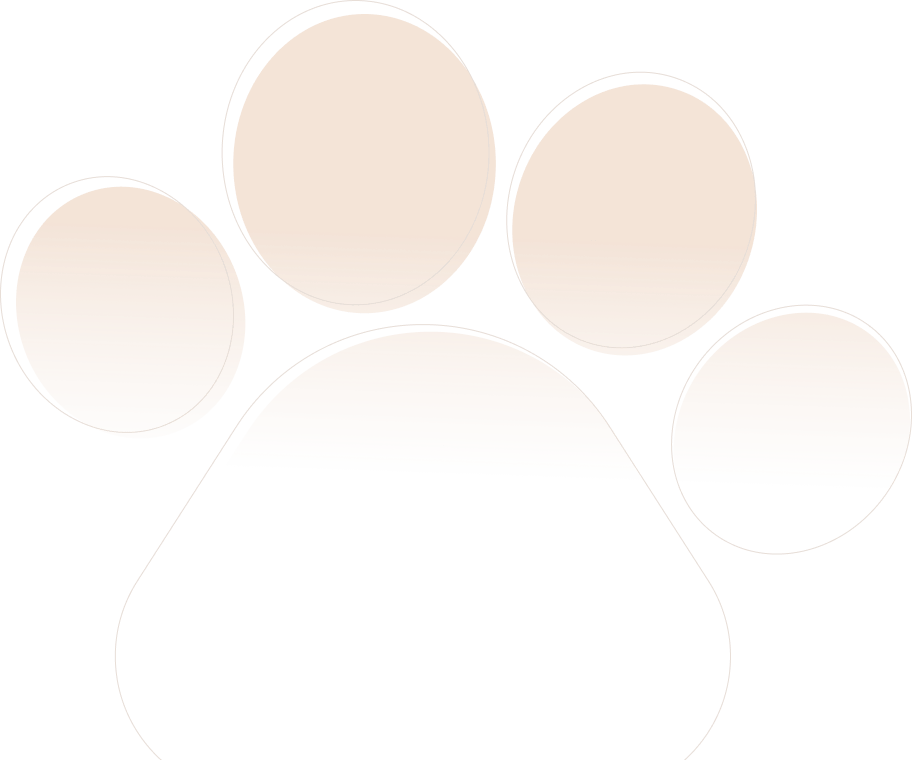 paw